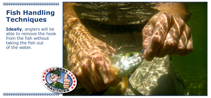 Remove the hook from the fish while in the water