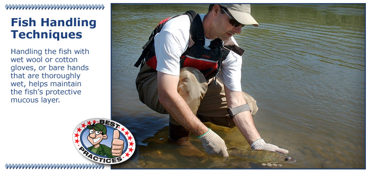 Use wet gloves or hands to maintain the mucous layer